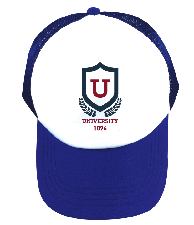 หมวกพิมพ์สี University New york capus cap